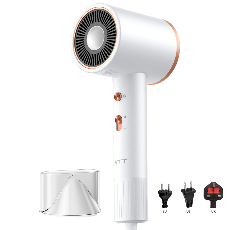 D1 가정용 헤어 드라이어