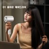 D1 가정용 헤어 드라이어