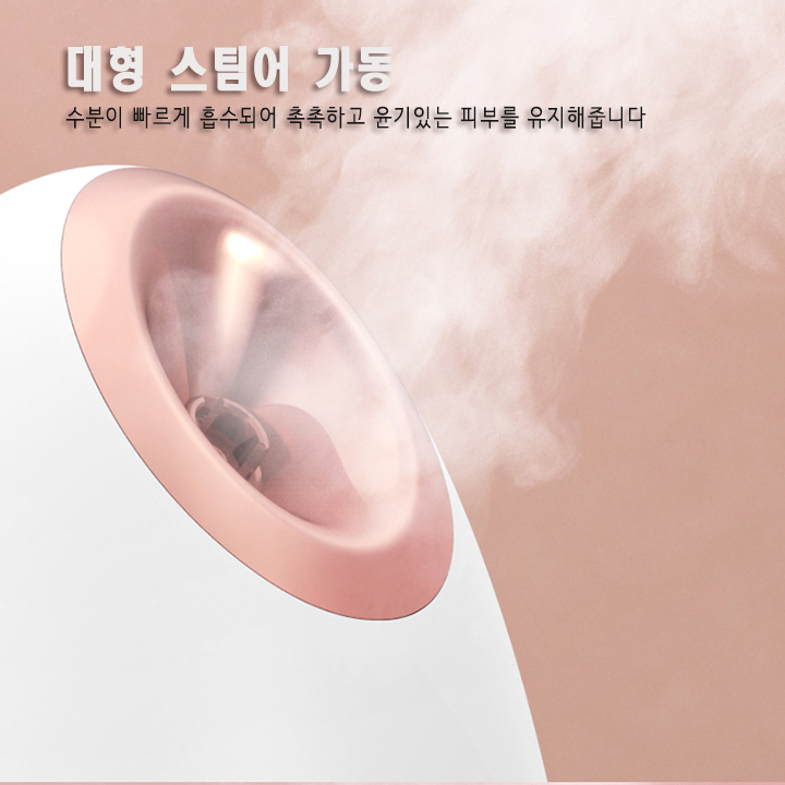 Z-1 피부관리용 대용량 스팀 발생기