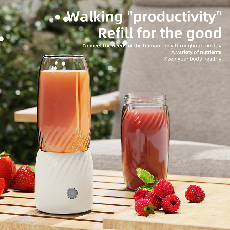 B6 (ZH40) 휴대용 쥬스믹스기